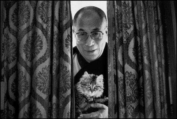 Dalai Lama with cat